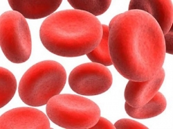 How to treat iron deficiency anemia?