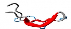 Provisional standardization of hepcidin assays